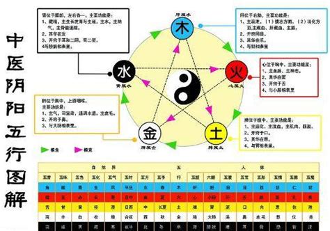 金生水 五行|金生水（五行对应关系）